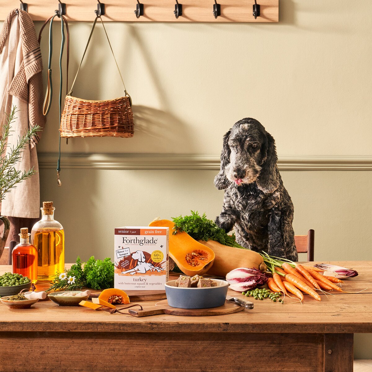 Forthglade Senior Turkey Wet 18x395g Next Day Delivery by 7pm